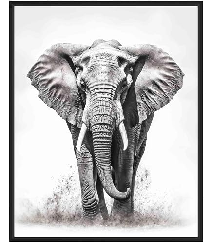 Amazon.com: Crowded Zebra Herd Animal Print, 24 x 24 Inch Framed